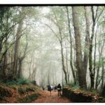 Claudia Salas Instagram – 1. Compañera de vida, de camino y de todas las veces que me he tropezado.
2. Hogar. (En mayúscula y negrita)
3. Laia hace unas fotos increíbles.
4. Laia hace una fotos…
5. Laia hace…
6. El camino te da lo que necesitas (gracias Ruth).
7. Mi vida en una foto. Literal. 
8. Gracias a Elena, una trabajadora que sin conocerme me ayudó a terminar todos los “check” de mi lista.
9. Sueño, frío y ganas.
10. Los ojos con los que la miro. (Laísmos a parte).

No se pueden poner más fotos y las que no están me las guardo para mi y para todas las zapas de caña alta y baja que caminaron conmigo. Incluso los que no dejaban huella.