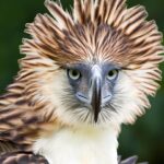 Valkyrae Instagram - The theme at this charity event I went to was Rainforest so I went inspired by the Philippine Eagle 🥹❤️ I think we look alike LOL CACAWWWWWWWWWWW