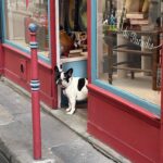 Antonia Gentry Instagram - je ne sais pas