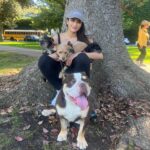 Praya Lundberg Instagram - I don’t know who rescued who but I can definitely say life has gotten 100 times better since they came in. Winston @laanimalrescue Ziggy @pawsforlifek9 Lucky @baloojasfoundation Pirate Arthur @istandwithmypack donate to any of these LA rescues. If you choose to foster or adopt I promise it will be the best decision you ever made ❤️ love my little family 🐕 🐕🐕🐕 - PS they are also the reason I don’t post as much anymore I’m too busy playing with the pups ✨