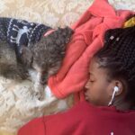 Amanda Gorman Instagram - Heaven has another angel 🪽So hard to say goodbye to Lulu when she’s been our family’s furry friend for most of my life. My dearest love, you have seen me through each hill and valley of childhood and young womanhood. Whenever I stayed up late to write a poem, you stayed by my side until I wrote the last line. You asked to love me, and for nothing more. You changed and cherished me in every way possible, and I miss you deeper than my bones. But now you can rest my sweet, just as is your right after a life of giving. You are free forever, the first and last of your kind. It was an honor to be yours, and for you to be ours. Love always, Amanda
P.S.
This little one came from a shelter, like so many other pets. If you’ve ever had your life touched by an animal with a hard start, please donate to The Milo Foundation (fundraiser in bio) which rescues dogs and cats from high-kill animal control shelters and adopt them to loving homes best suited to provide lifetime care. Love you my Lulu 💛