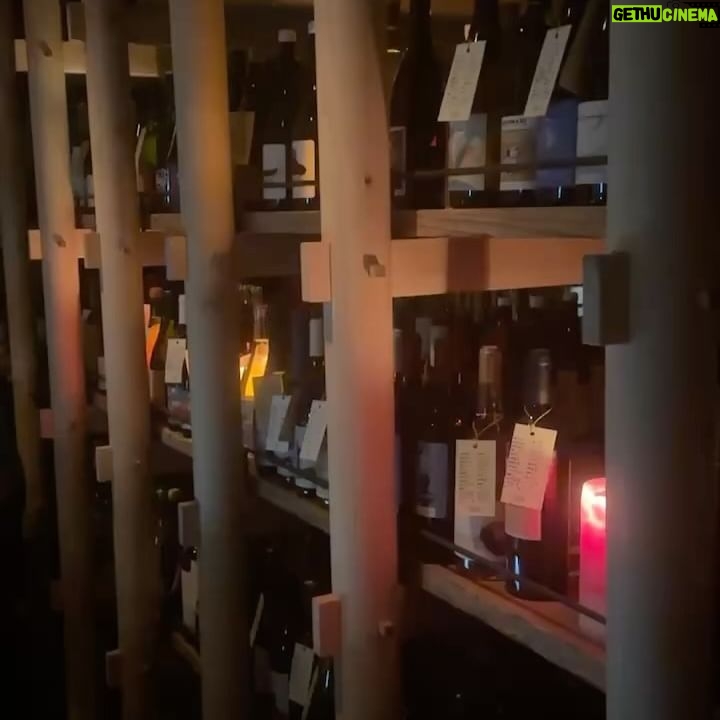 Nozomi Sasaki Instagram - 名古屋旅記録♡
1枚目〜4枚目
念願の#パラダイスナチュール🍷
素敵な空間で音楽を聴きながら美味しいナチュラルワインを飲むことが出来ました✨
5枚目〜8枚目
#まねき寿司 🍣
お寿司が出てくるまでのお料理に感動!
そしてお寿司も勿論美味しかった…🥹
9枚目は一緒に行った仲良し家族の娘ちゃんが、どこまで小さく鶴を折れるか!?の本気を見せてくれました❤︎
10枚目#レゴランド ‼️
また来ます名古屋🫶
#名古屋