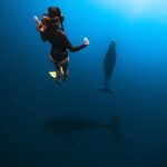 Kinsey Wolanski Instagram - Moorea Tahiti recommendations ❤️ 
Swimming with humpback whales- @mooreamoanatours 
Best hotel- @manavamoorea 
Best house to rent- @mooreaherelodge 
Hikes- magic mountain and belevedere lookout