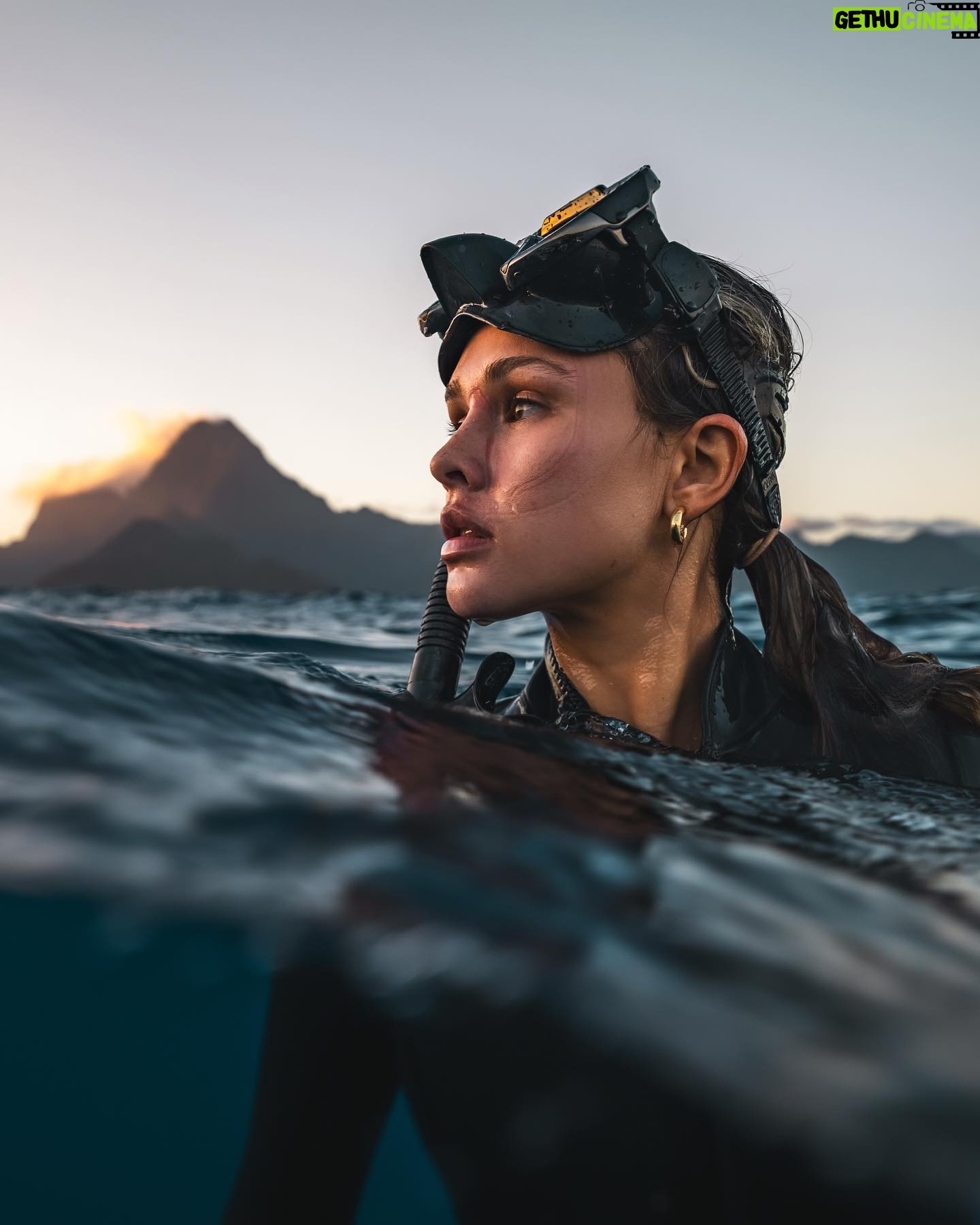Kinsey Wolanski Instagram - Moorea Tahiti recommendations ❤️
Swimming with humpback whales- @mooreamoanatours
Best hotel- @manavamoorea
Best house to rent- @mooreaherelodge
Hikes- magic mountain and belevedere lookout
