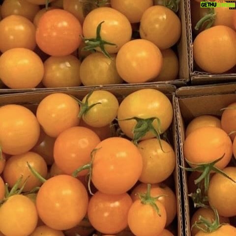 Daniella Monet Instagram - Here’s a SECRET 👇🏼
Not all ketchup is created equal! it’s scary. Haunting even. 💀👻🎃And it’s unfortunately not just ketchup. SO many brands have different ingredients in the USA vs the EU.
EU ketchup- Tomato puree 61%, vinegar, sugar, salt, spice and root extract (contains celery), spices.
USA ketchup- Tomato concentrate from red ripe tomatoes, distilled vinegar, high fructose corn syrup, corn syrup. salt, spice, onion powder, natural flavoring
So why does the EU get the real ingredients while the US gets high fructose corn syrup and *possible* artificial flavoring? 🤯 why do they sell them in glass bottles a lot of the time in the EU but not as much in the USA?
Regulations in the EU are stricter.
These strict food regulations protect against possible, harmful effects that derive from artificial substances that are not banned in the USA. This is just one example, and I want to note that we aren’t saying that fewer ingredients are better, just painting a picture of how we can do better.
Before I go over 8 ingredients that are banned in the EU but are not banned in the USA, ✨COMMENT “KETCHUP”✨ we’ll send you a DM of a Daniella approved (clean) ketchup brand! 👇🏼👇🏼👇🏼
K, let’s dive into it. The 8 ingredients.
* rBGH (rBST) – Growth hormone
* Ractopamine – Increases lean muscle in animal stock
* Potassium bromate – Makes baked goods whiter and increases volume
* Brominate vegetable oil – Used to keep flavors from separating in beverages
* Olestra – Fat substitute
* Azodicarbonamide – Used to bleach flour
* Coloring agents – Red #40, yellow #6, yellow #5, blue #1
* BHA and BHT – Preservatives
Is your mind blown? This fact has been living in our heads rent free for yearsssss.
Also, I personally always opt for a ketchup without sugar. By comparing these two, I am not saying that the EU version is necessarily healthier.
Remember, COMMENT “KETCHUP” 🍅 to get a DM with a link to a Daniella approved ketchup! 👇🏼🫶🏼