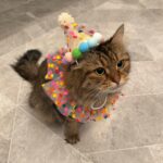 Maude Apatow Instagram – dolly turns 3 🥹