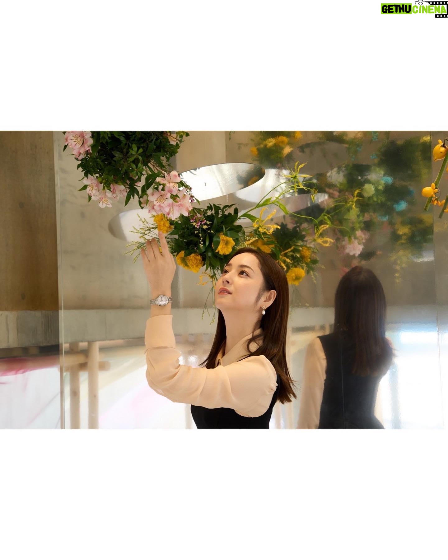 Nozomi Sasaki Instagram - .
「Grand Seiko 果実と花の和菓子屋 とき」
「ときを食(は)む和菓子。」
一足先にお邪魔してきました🍵
中に入った瞬間の広がりのある気持ちいい空間を是非、感じていただけたらと思います。
いちじくのパフェ、美味しかったな…︎❤︎
—————
10月27日(金)〜11月5日(日)の10日間限定で、神宮前・StandBy(スタンドバイ)にてオープン。
この一瞬を生きる生命力や美しさ・瑞々しさを表現できる“果実と花”をメインテーマに据え、フレッシュで軽やかなラグジュアリーの世界観を創り上げています。
#pr #grandseiko #和菓子屋とき #aliveintime #グランドセイコー