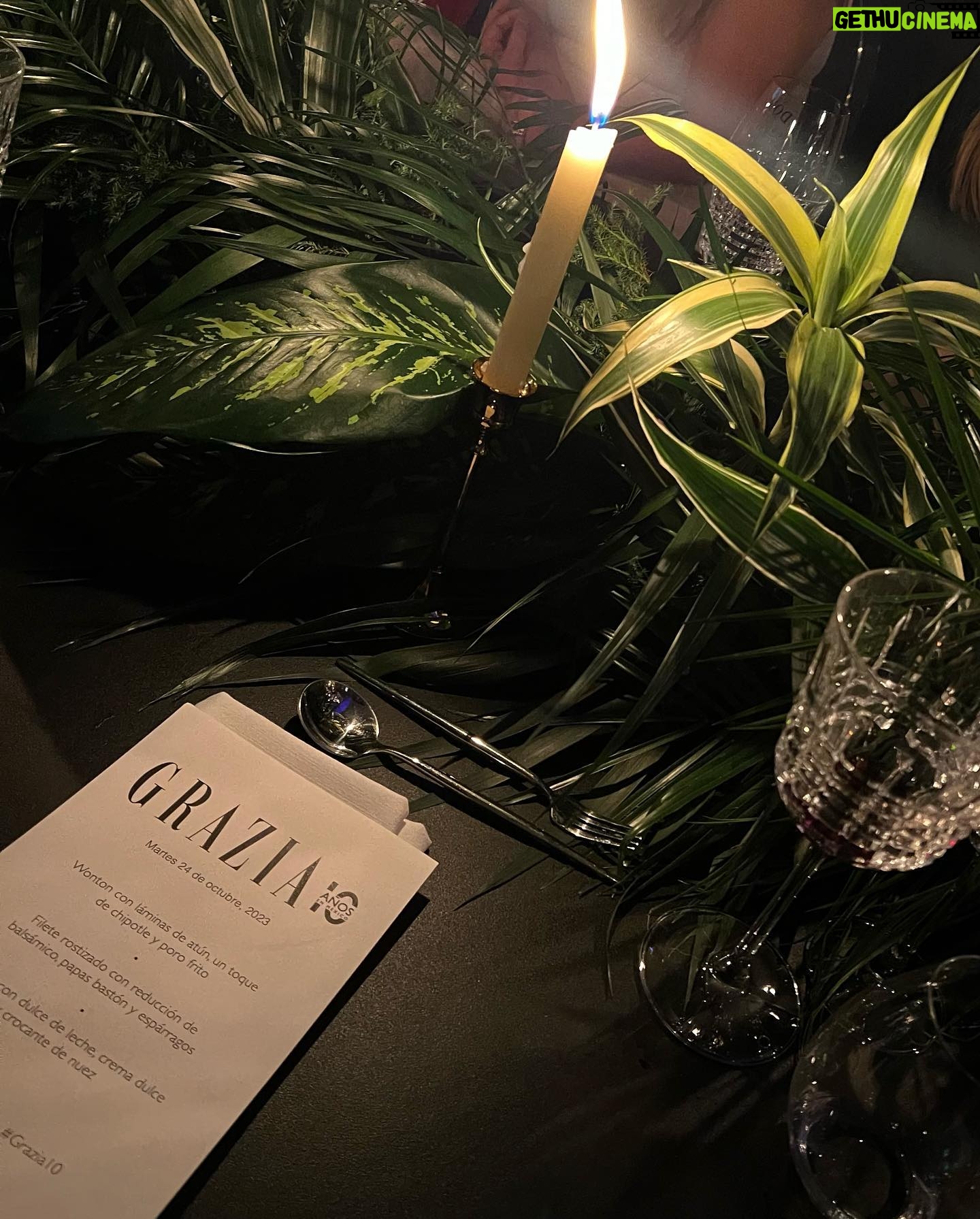 Renata Notni Instagram - Celebrating 🥂 @graziamexico