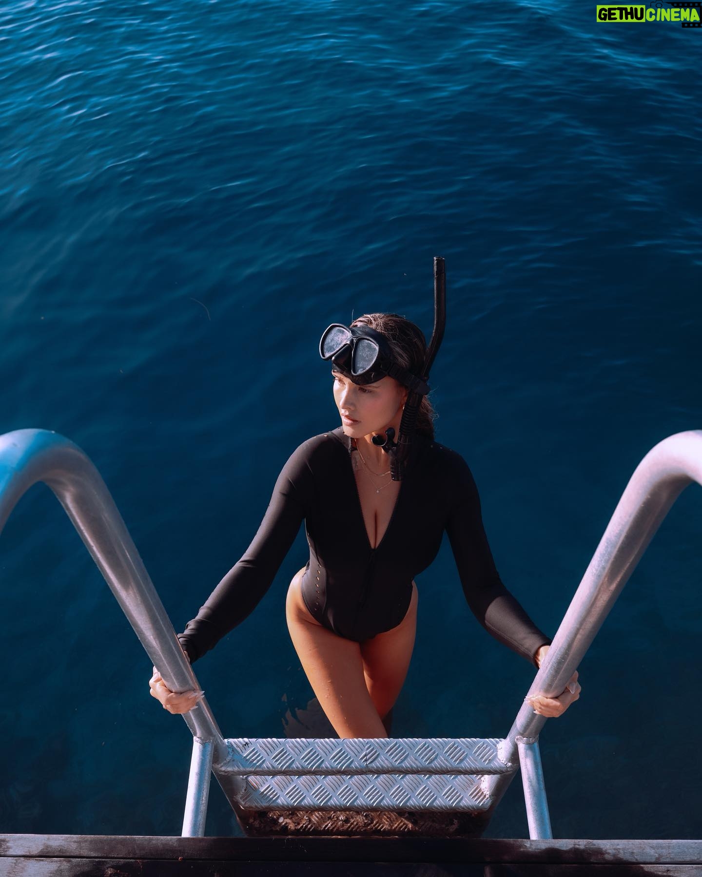 Kinsey Wolanski Instagram - Moorea Tahiti recommendations ❤️
Swimming with humpback whales- @mooreamoanatours
Best hotel- @manavamoorea
Best house to rent- @mooreaherelodge
Hikes- magic mountain and belevedere lookout