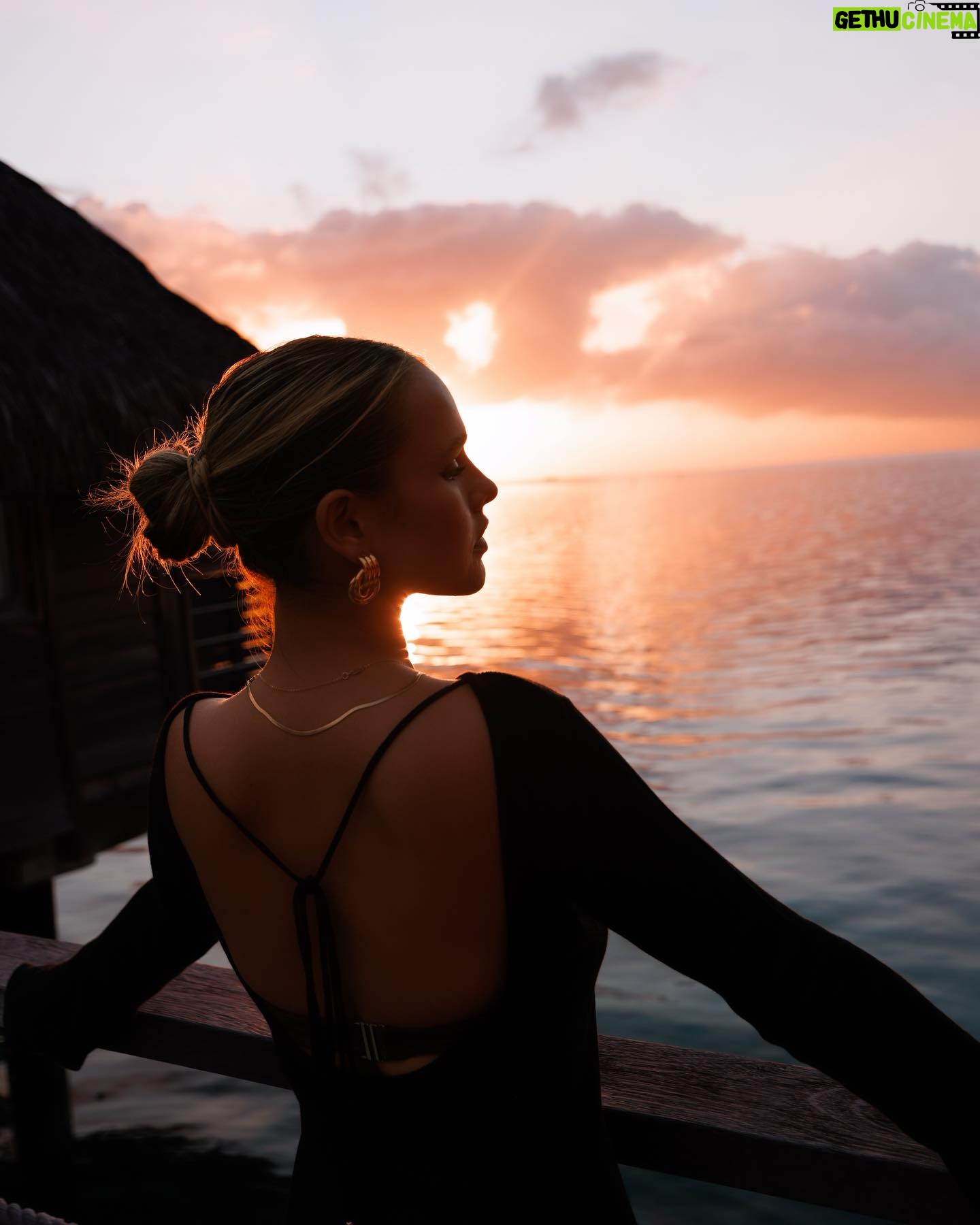 Kinsey Wolanski Instagram - Moorea Tahiti recommendations ❤️
Swimming with humpback whales- @mooreamoanatours
Best hotel- @manavamoorea
Best house to rent- @mooreaherelodge
Hikes- magic mountain and belevedere lookout