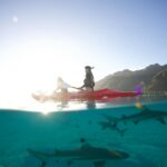 Kinsey Wolanski Instagram - Whats actually under your kayak….. 😳 

#shark #sharkweek #ocean #travel #scary