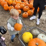 Dani Dyer Instagram - October fun 🍂 🎃 🍁 ✨