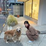 Han Hyo-joo Instagram - 버두랑 커플룩🐶
나난작가님은 늘 감동을 안고 나타나시고 맑은 경화언니랑 맑은 혜미작가님 전시🤎
가을이네 🍂