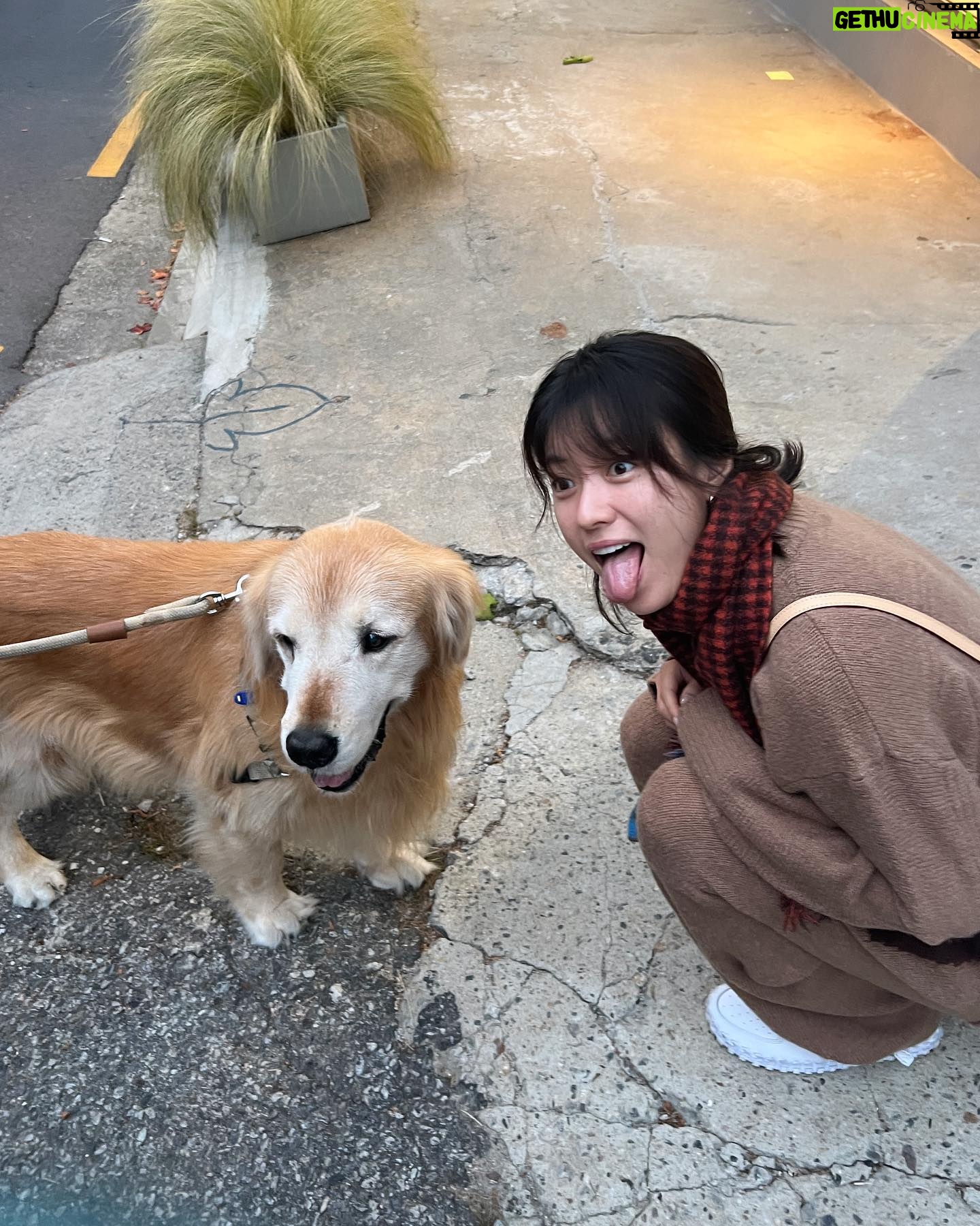 Han Hyo-joo Instagram - 버두랑 커플룩🐶
나난작가님은 늘 감동을 안고 나타나시고 맑은 경화언니랑 맑은 혜미작가님 전시🤎
가을이네 🍂