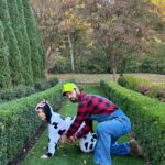 Jessie James Decker Instagram - Farmer Decker been milkin me since 2011 #happyhalloween