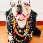 Iris Apfel Instagram - The spooky celebrations continue! 👻🍭🌟🎃 #halloween