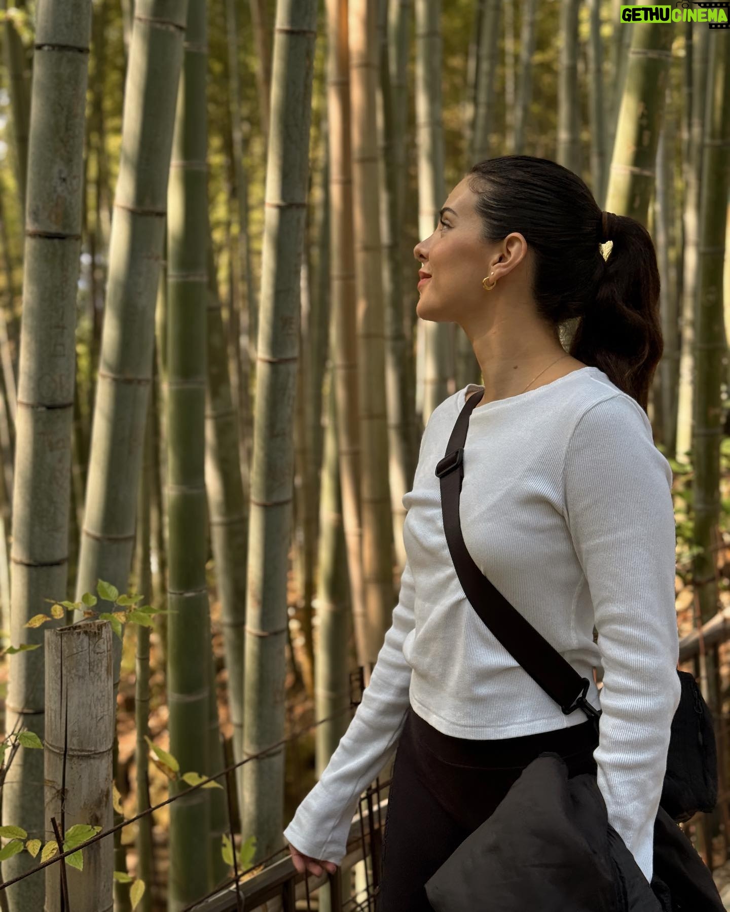 Sheryl Rubio Instagram - Japón. Fuiste mucho más de lo increíble que pensé que serías. Superaste mis expectativas a otro nivel, me enamoré y entendí una cultura tan diferente a la mía 🥹. Comí hasta más no poder, nos perdimos en tus trenes y calles, sufrimos y batallamos para entendernos con toda tu gente pero que gran aprendizaje y que gran viaje nos hemos echado! Espero regresar en un par de años para caminarte y disfrutarte tanto como este primer viaje. Aquí les subo algunas fotitos (tenemos muchísimas más pero esto es un poquito de lo que vivimos) - el mejor viaje de Honey Moon que @shapswade pudimos haber pedido 🫶🏻