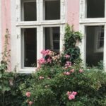 Lola Tung Instagram –