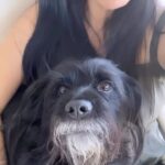 Scarlet Ortiz Instagram - Mi Negrito Gruñon 😅 no le gusta que Yul Hansel @yulburkle se acerque cuando el está en mi regazo 🤦🏻‍♀️ celosooooo!!! Cómo lo amoooo. Si ya sé que lo tengo demasiado consentido 🤪😍🐾 #amorperruno #hijopeludo #dollardejesus #inconditionallove
