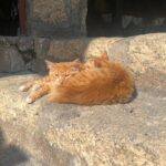 Han Hyo-joo Instagram – #북마케도니아
#northmakedonia 
#ohrid 

Peaceful ✨