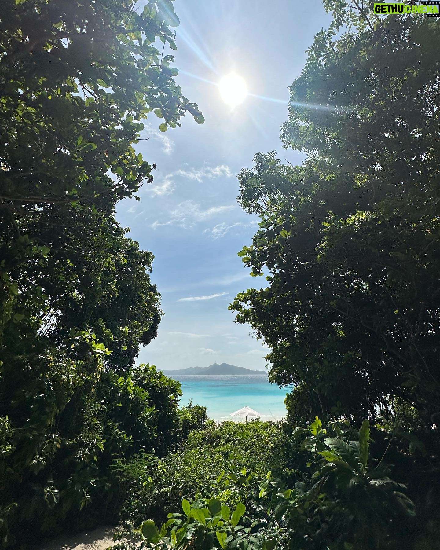 Maine Mendoza - 387.4K Likes - para-para-paradise 🏝️