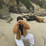 Daniela Calle Instagram - Secuencia al final 🦭🤫🌼