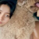 Kōki Instagram - ルンちゃんとのお散歩📷

満開の金木犀🥰
甘い香りが大好きです☺️