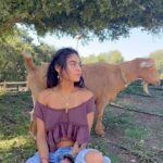 Jessie Reyez Instagram - 📕 out now. words of a goat princess