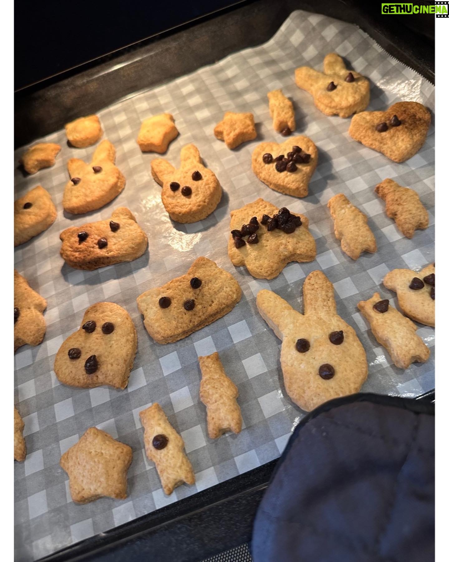 Nozomi Sasaki Instagram - またもや🍪
クッキー作るのが本当に好きみたい👦🏻