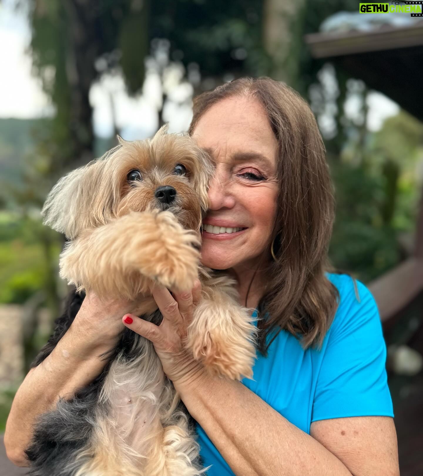 Susana Vieira Instagram - Amor da mamãe ❤️🐶 Stefany