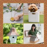Marie Kondo Instagram – Our Fall Into Joy Sale is here!
Make thoughtful purchases and spark joy for those that are special to you✨
25% Off Site-wide*
Shop.KonMari.com
US Only | *Some exclusions apply
–
#konmari #mariekondo #sale #thoughtfulpurchases #blackfriday #konmarimethod #organization #selfcare
