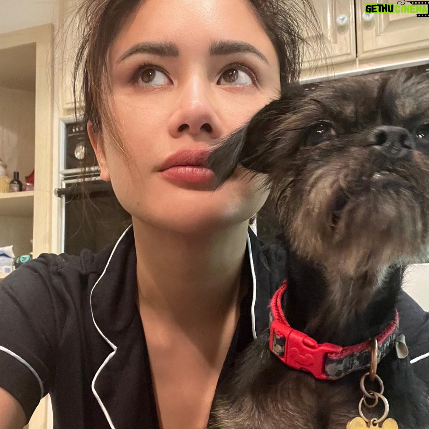 Praya Lundberg Instagram - Life has been about dogs, pasta and cute fall fits 🍁🍂