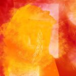 Bonnie Wright Instagram - Fuego 🔥 the new collection by my ever so talented parents @wrightandteague and a very sparkly new website!! I love earrings as they quickly brighten my face, mood and outfit. From nights out to daily life this collection has it covered. I’ve shared the link to their website in my stories 🎁 artwork by @lewisteaguewright