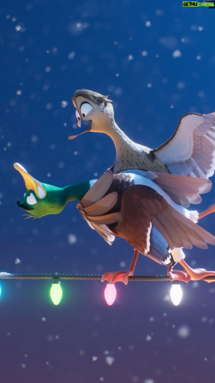 Elizabeth Banks Instagram - I’m in this. Well, my voice is. As a Mallard. It’s adorable and fun for all and only in theaters this Christmas. #MigrationMovie