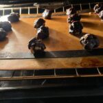 Mayim Bialik Instagram - Couldn’t resist sharing some festive cooking posts. These first 2 photos are broccoli arancini from @Moby’s Little Pine cookbook, which I make with gluten-free Panko.

Next up are my veganized “Darrell’s ‘Forget-the-Cookies-Just-Give-Me-That-Batter’ Chocolate Chip Cookies” that I was in the process of making during yesterday’s Live with @jonathancohenofficial (head over to @bialikbreakdown if you missed it!). Shout out to my 1987 edition of KidsCooking: A Very Slightly Messy Manual from Klutz press (a pretty cool company) for the recipe.

INGREDIENTS:
- 1/2 cup vegan butter
-  1/2 cup brown sugar
- 1/2 cup white sugar (yes, it’s a lot of sugar, but that’s why I only make them for the holidays 😬)
- 1 tsp vanilla extract
- 1 vegan egg replacement (I use Bob’s Mill egg replacer)
- 1 1/8 cups flour (If I’m feeling frisky, I replace 3/4 cup of the flour with cocoa. That’s what I did with this recipe. 🤫
- 1/4 tsp salt
- 1/2 tsp baking soda
- 1 bag (6 oz) vegan chocolate chips
- 1/2 cup walnuts - optional (sometimes I make them with pecans but this time I did it with walnuts)

INSTRUCTIONS:
1. In a small pan, melt the butter. While it’s hot, add both sugars. Stir, then let cool a bit.
2. While the butter mixture is cooling, mix the flour, baking soda, and salt in a mixing bowl.
3. In a separate small bowl, stir the egg replacer in with the vanilla and butter mixture.
4. Add the butter, egg replacer, and vanilla to the flour mixture in the mixing bowl. Stir again, then add chocolate chips and nuts if you want them.
5. Stir everything until it’s all mixed up well and put the bowl in the refrigerator to cool for about an hour.
6. Preheat the oven to 375 degrees F.
7. Roll the dough into walnut-sized balls, put them onto an ungreased baking sheet, and bake for 10 min. Allow to cool, and enjoy!