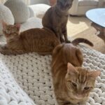 Kate Walsh Instagram – Monday. Jim. Frank. Rico.