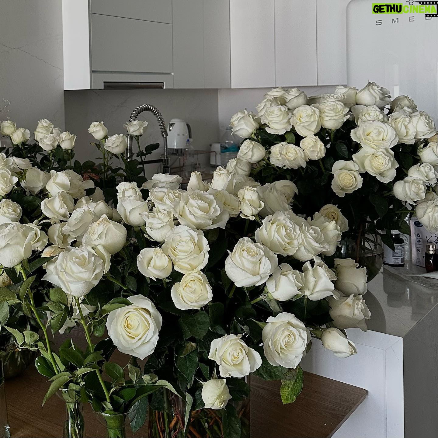 Macarena Achaga Instagram - regalar flores nunca pasa de moda.
llenarle la casa de flores a tu novia, menos.