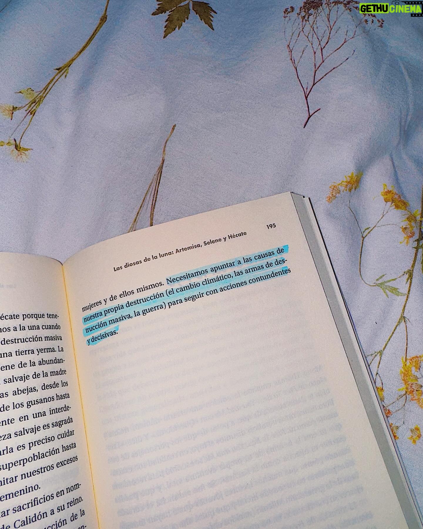 Clara Galle Instagram - Tengo 21 años y me afecta lo que pasa en el mundo.
Me atrevo a decir que hay muchos más jóvenes que, en situaciones privilegiadas o no, dan vueltas a aspectos sociales y tan distintos conflictos que inundan el panorama actual, y el panorama anterior, porque no difieren tanto, a fin de cuentas.
El poder de ser conscientes de lo que ocurre en nuestras vidas y en las de otros es una capacidad que se desarrolla por voluntad propia. Cuando la finalidad de documentarse sea entender y no dar forma a una opinión individualista nacerá la empatía.
Cuando pienso que no puedo dar solución a realidades tan complejas, me acuerdo que tengo la posibilidad afortunada de informarme.
Tengo 21 años, hay muchas cosas que no entiendo, y quiero comprender por qué se repiten una y otra vez.
•Imagen 1: Exposición “El muro de Berlín, un mundo dividido”. (Fundación Canal)
•Imagen 2 y 3: Libro “Tía Buena” de Alberto Olmos.
•Imagen 5 y 6: Libro “Apeirógono” de Colum McCann.
*Imagen 7 y 8: Exposición “Amazônia” de Sebastião Salgado (Fernán Gómez Centro Cultural)
*Imagen 9: Fragmento del libro “Artemisa” de Jean Shinoda Bolen.