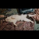 Fearne Cotton Instagram - Draw me like one of your french girls.