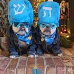 Iris Apfel Instagram - Happy Hanukkah! 🕎