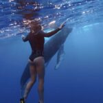 Kinsey Wolanski Instagram - Diving with humpback whales 🐋😳 

The male humpback whale would stay about 40ft under the surface and sing for almost an hr to attract a female. You could hear the song through your entire body underwater and it was so surreal. The baby humpbacks are so curious and friendly, we caught this beautiful shot of the baby breaching 🐋 

Thank you to the best dive experts for making this possible @mooreamoanatours @pierrick_moana @zimydakid @danny_mako