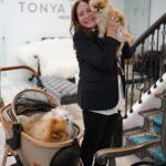 Susana Vieira Instagram - Tarde de beleza na @tonyabeauty para “gatas” e  cachorrinhos 💄👄