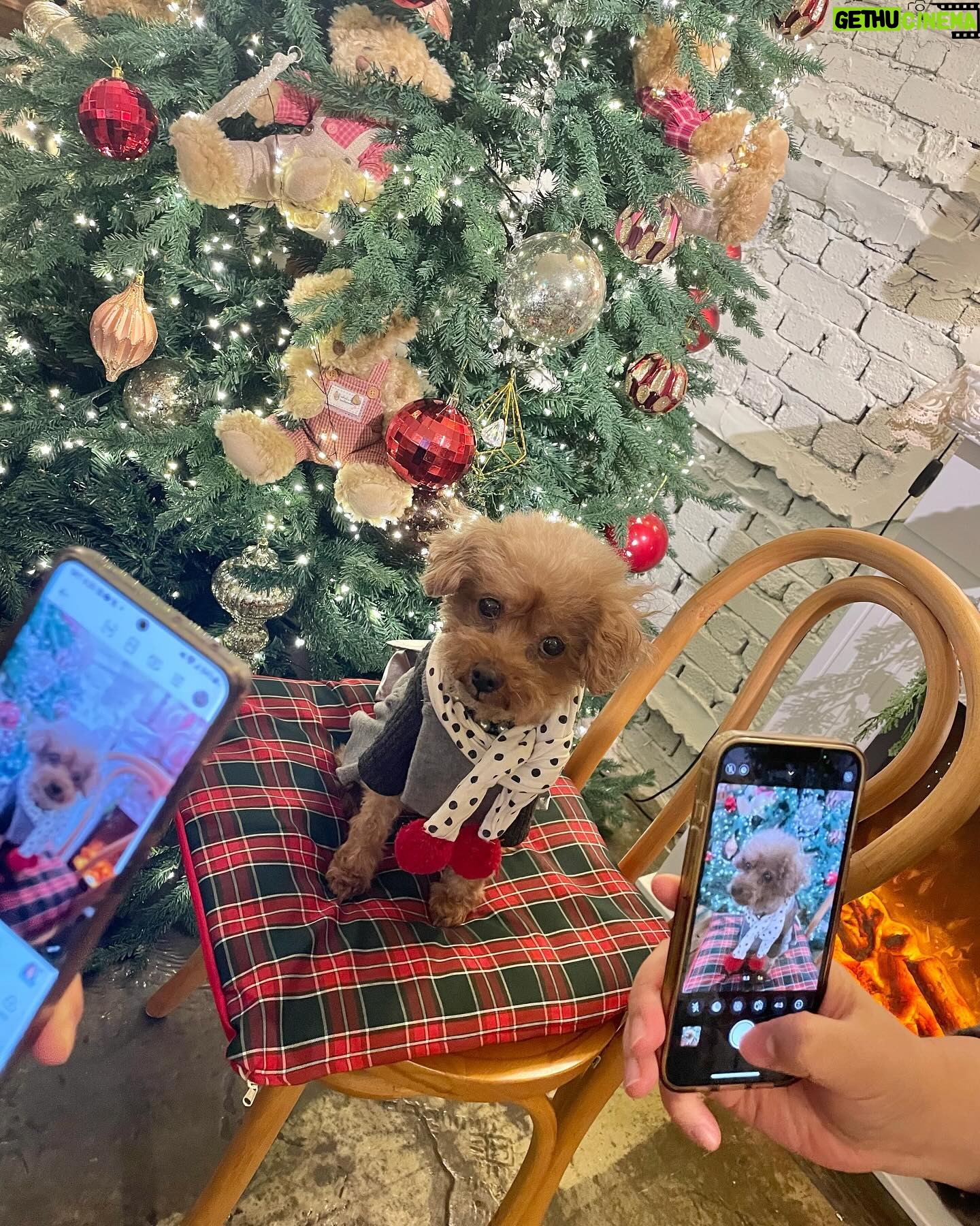 Gong Min-ji Instagram - 따뜻하고 cozy했던 나의 크리스마스❤️
#happy