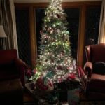 Sarah Drew Instagram - Merry Christmas from the city of angels! @reindeertribemusic