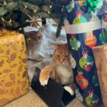 Maude Apatow Instagram – merry christmas 🎄🎅🏼🎁