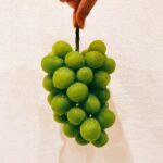 Mio Imada Instagram - 幸せな季節です🍇
*
このあと19時から
笑神様は突然に、、、です☺︎
みてね！