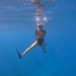 Sarah Michelle Gellar Instagram - “We may have split from our common ancestor with the octopus over half a billion years ago , and yet you can make friends with an octopus” (don’t worry- after we hung for a few seconds we said our goodbyes and he swam off) bonus content MANTA!!