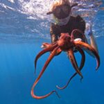 Sarah Michelle Gellar Instagram - “We may have split from our common ancestor with the octopus over half a billion years ago , and yet you can make friends with an octopus” (don’t worry- after we hung for a few seconds we said our goodbyes and he swam off) bonus content MANTA!!