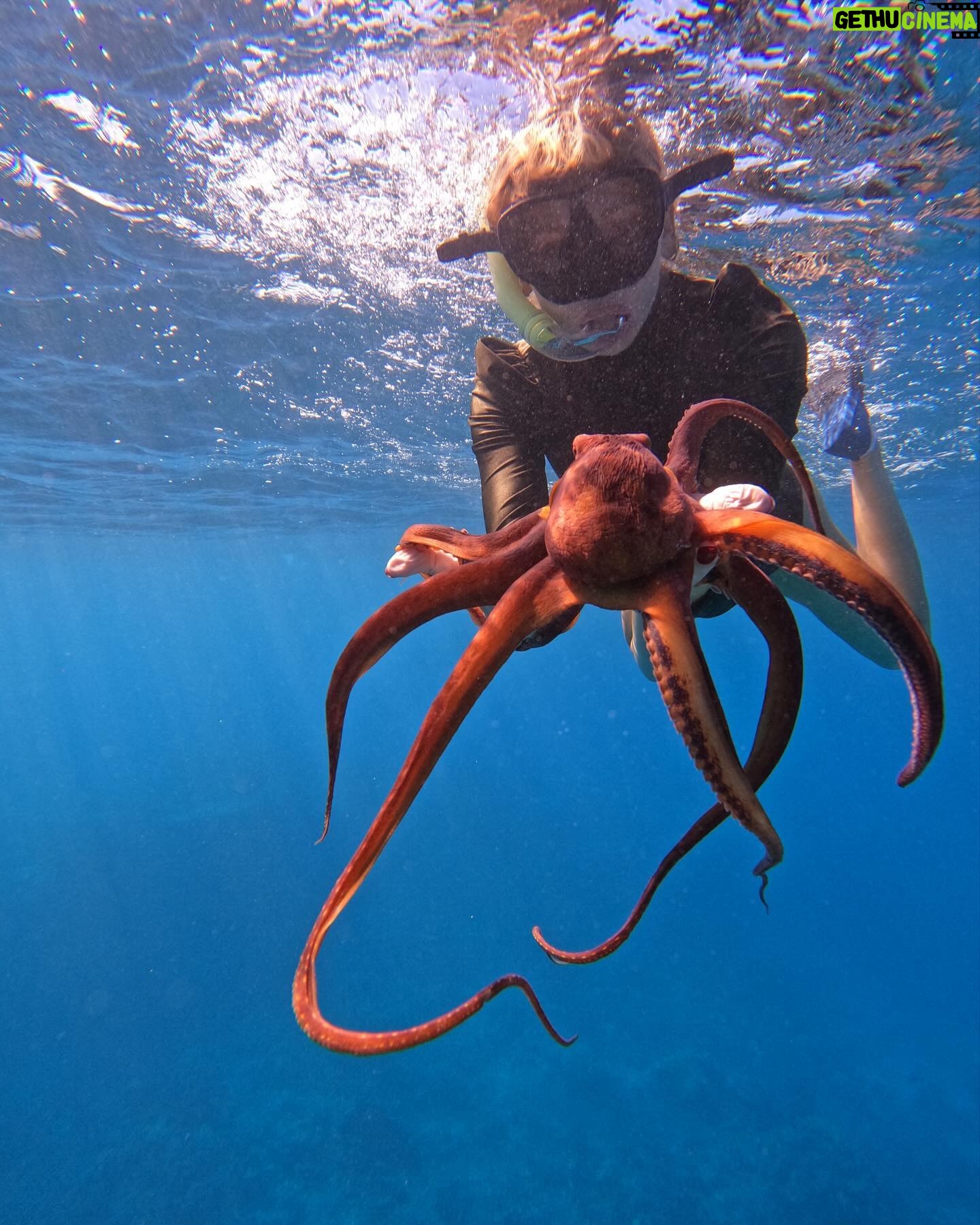 Sarah Michelle Gellar Instagram - “We may have split from our common ancestor with the octopus over half a billion years ago , and yet you can make friends with an octopus” (don’t worry- after we hung for a few seconds we said our goodbyes and he swam off) bonus content MANTA!!