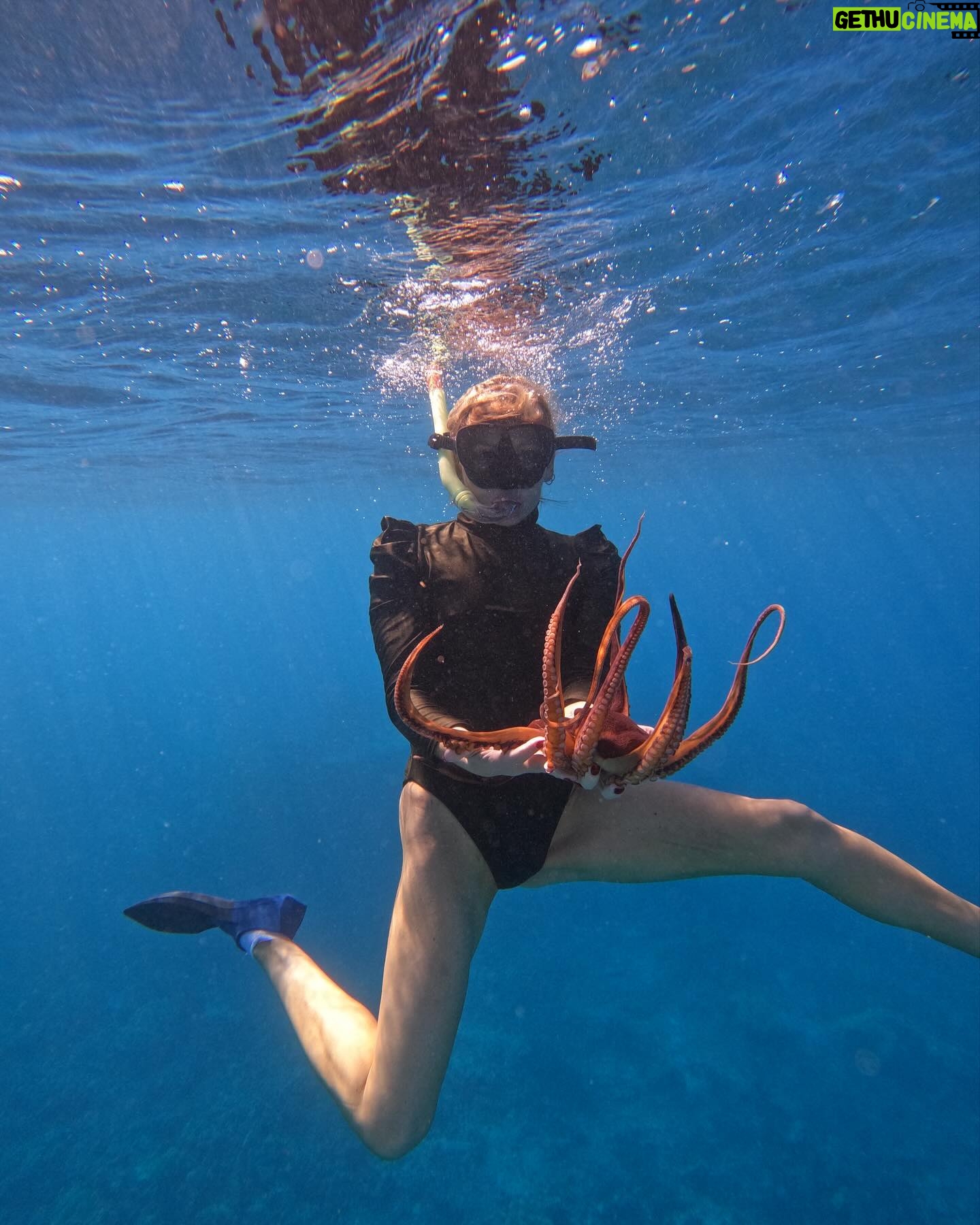 Sarah Michelle Gellar Instagram - “We may have split from our common ancestor with the octopus over half a billion years ago , and yet you can make friends with an octopus” (don’t worry- after we hung for a few seconds we said our goodbyes and he swam off) bonus content MANTA!!